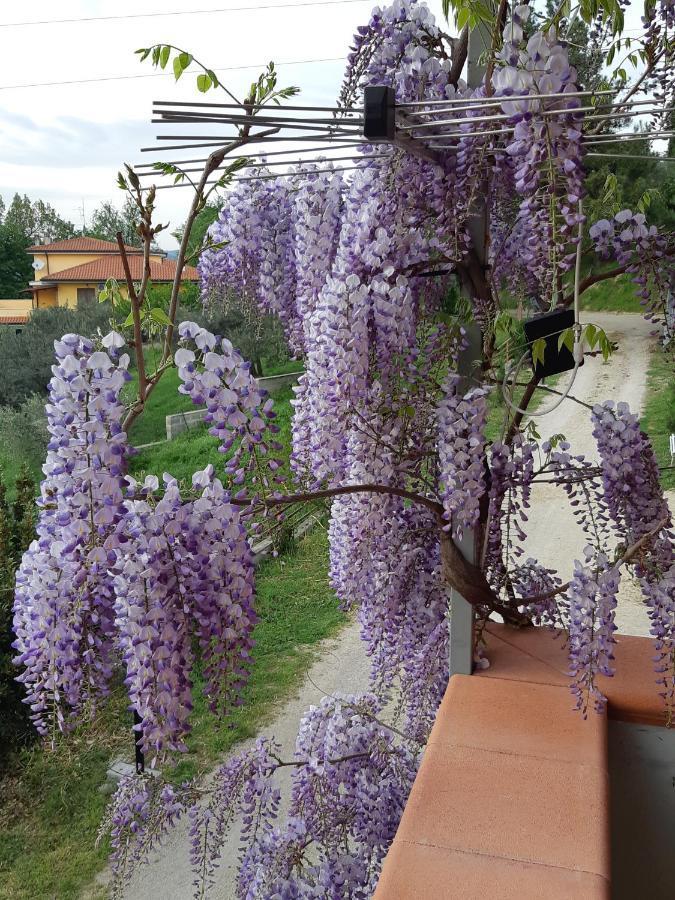 Il Glicine Bed and Breakfast Chieti Exteriör bild