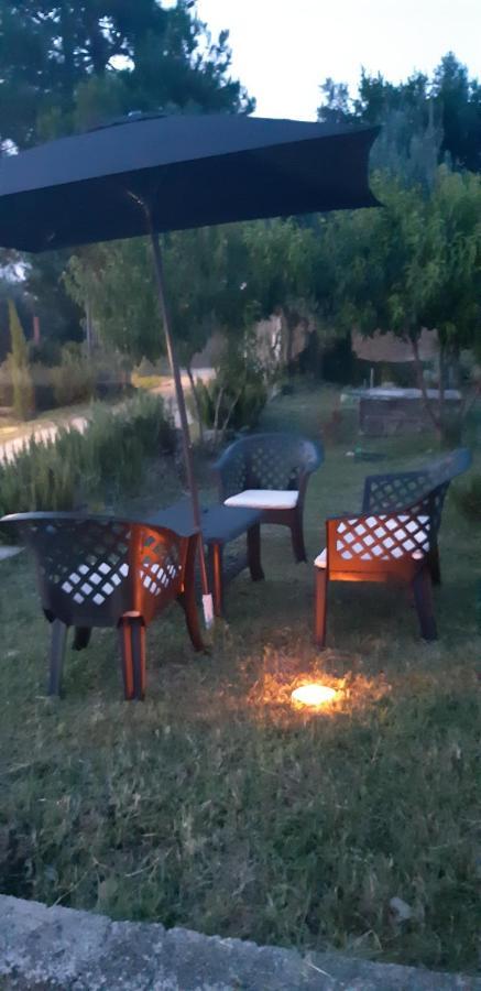 Il Glicine Bed and Breakfast Chieti Exteriör bild